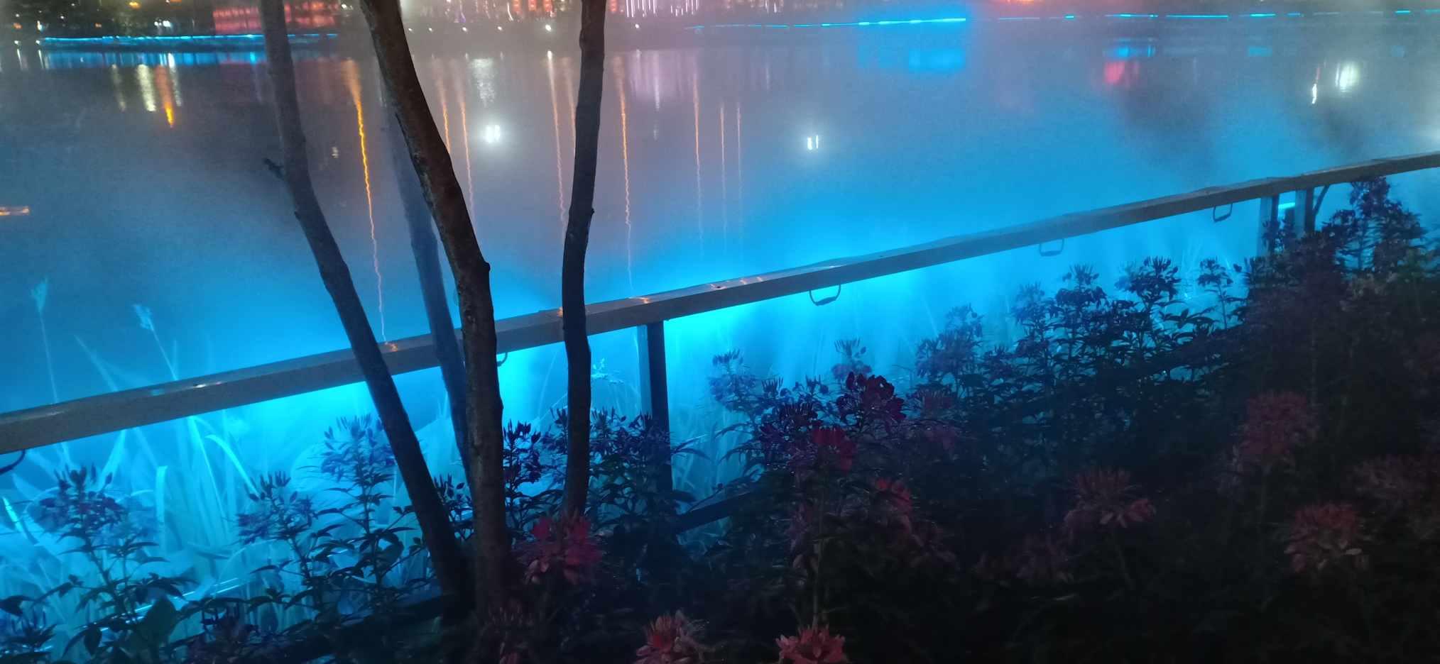 逗小猴开心系列194